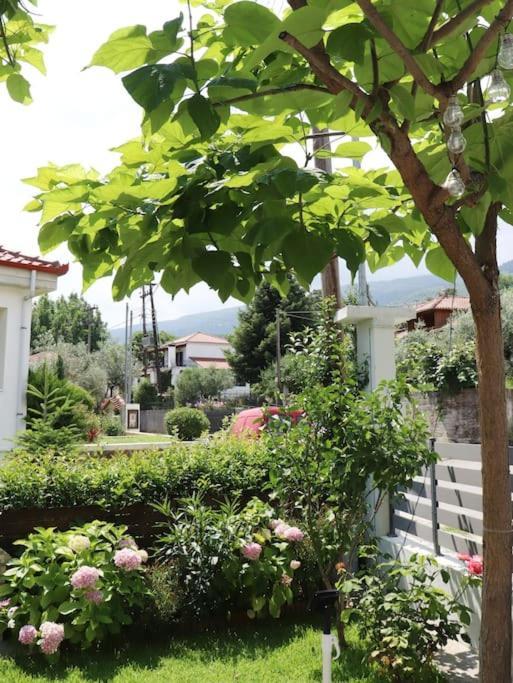 Hébergement de vacances Lia's